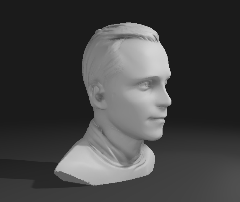 Personalisierte 3D-gedruckte Büste